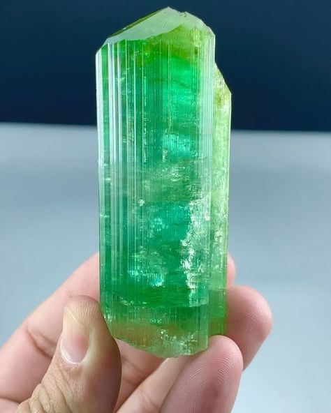 Muhammad Majid on Instagram: "Minerals: ❇️ TOURMALINE ❇️ Terminated Naturall Bicolor Tourmaline Crystal. Its super lustrous crystal with very good clarity. Crystal has a very lovely green color in the upper portion and it has pink color in the bottom. Weight : 138 Gram Dimensions : 83*28*24 mm Locality: Aricanga, Sao Jose da Safira, Minas Gerais, Brazil #Tourmaline #tourmalines #tourmalinecrystal #bicolortourmaline #watermelontourmaline #tourmalinekings #tourmalinecrystals #turmalina #tourmalinestone #crystalcluster #minerals #mineralspecimen #fineminerals #crystals #crystalsofinstagram #mineralsparadise #gems #gemstones #gemporn #mineralshow #rockhounding #rockhounds #geology #geologypage #geologylife #gemsofinsta #minerales #cristali #crystalline #rocksandminerals" Dravite Tourmaline, Crystals Green, Elegant Green Tourmaline Gemstones, Green Tourmaline Crystal, Sao Jose, Cool Optical Illusions, Magic Stones, Indicolite Tourmaline, Types Of Crystals