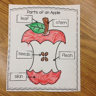 Apples Unit Kindergarten, Books About Apples, Life Cycle Activities, Apple Kindergarten, Apple Week, Apple Life Cycle, Apple Lessons, Apple Preschool, Kindergarten Math Games