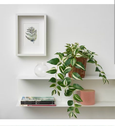 Ikea Planters, Tradescantia Zebrina, Artificial Hanging Plants, Ikea Ireland, Artificial Potted Plants, Hanging Plants, Cottage Decor, Green Plants, Live Plants