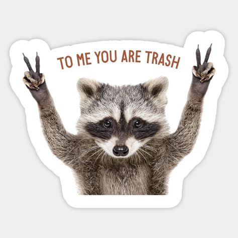 To Me You're Trash Racoon - Raccoon - Sticker | TeePublic To Me You Are Trash Raccoon, Racoon Sticker, Baby Racoon, Raccoon Sticker, Motivation Shirt, How To Make Stickers, Shirt Graphics, Trash Panda, Animal Totems