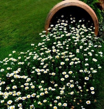 Turn a halved pot on its side next to some low-lying blooms to add whimsey to your garden. Backyard Garden Landscape, The Secret Garden, Garden Containers, Backyard Garden Design, Green Grass, Dream Garden, Yard Landscaping, Garden And Yard, Backyard Garden