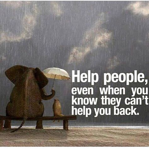 Quotes About Helping Others, Quotes About Helping, Citation Entrepreneur, Millionaire Mentor, Stock Quotes, Leadership Quotes, Millionaire Lifestyle, When You Know, Help People