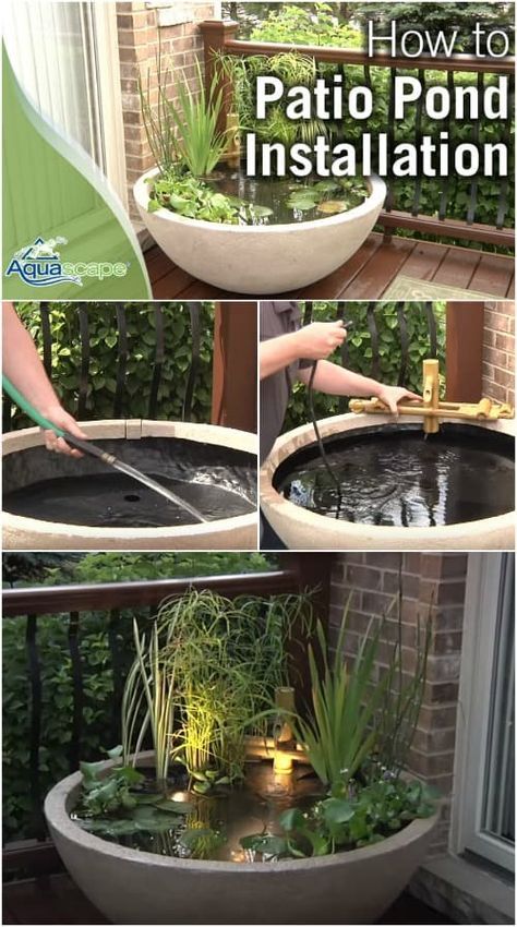 Build A Pond, Container Pond, Container Water Gardens, Kolam Koi, Patio Pond, Building A Pond, Taman Air, Diy Pond, Pond Waterfall