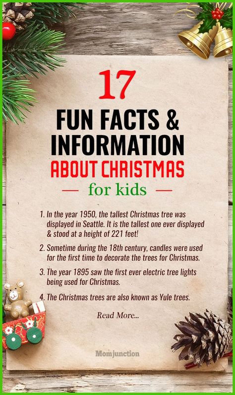 Christmas Facts Interesting, Christmas Facts For Kids, Christmas Quiz For Kids, Fun Facts About Christmas, Christmas Fun Facts, Christmas Facts, Christmas For Kids, Quizzes Funny, Holiday Facts