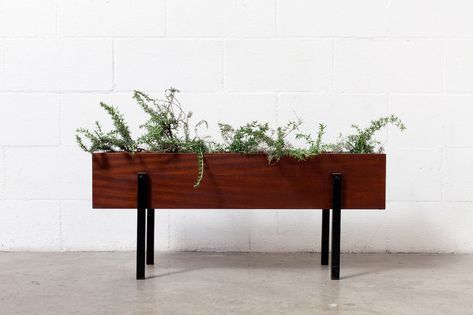 Mid-Century Teak Planter Box - Amsterdam Modern Tall Planter Boxes, Indoor Planter Box, Large Wooden Planters, Planter Box Designs, Brick Planter, Modern Planters Outdoor, Mid Century Modern Planter, Tin Planters, Cedar Planter Box