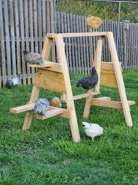 Rabbit House Diy Homemade, Farm Supplies, Chicken Perches, Chicken Yard, Bird Ideas, Chicken Roost, Chicken Flock, Cute Chicken Coops, Chicken Barn