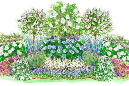 Garden Plan Hydrangea, Part Sun Cottage Garden, Front Shade Garden, Perrenial Shade Garden Plans, Front Garden Hydrangea, Simple Shade Garden, Privacy Garden Plan, Hydrangea Garden Plan, Part Shade Garden Plans