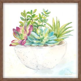 ACCENT CANVAS 14X14 Painting Succulents, Succulent Painting, Watercolour Cards, Watercolor Succulents, Painting Subjects, Small Canvas Art, Diy Watercolor, Stock Paper, Succulent Pots