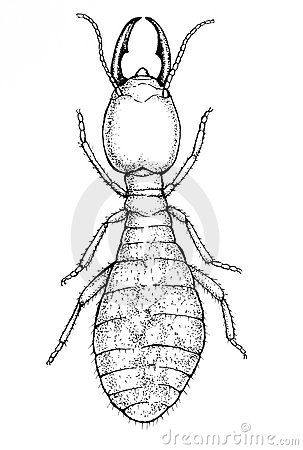 Worker Termite Illustration Royalty Free Stock Photos - Image: 22496448 Termite Tattoo, Fly Drawing, Award Ribbons, Scorpion Tattoo, Earthworms, Clipart Black And White, Unit Study, Dream Tattoos, Free Stock Photos Image