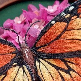 Megan Zaniewski on Instagram: "I didn't record every stage of making this monarch and milkweed (sometimes I prefer to just be absorbed in creating), but I thought I'd still share a little bit of the process for it. 🦋🪡✨️" Megan Zaniewski, Applied Arts, July 17, The Process, Embroidery, On Instagram, Instagram