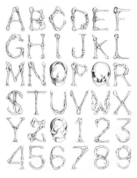 CUSTOM LETTERS, BEST OF 2012 — LetterCult Bone Font Alphabet, Bone Font Lettering, D Fonts Letter, Bones Alphabet, Bone Lettering, Skull Lettering, Bone Alphabet, Bone Font, Halloween Fonts Alphabet