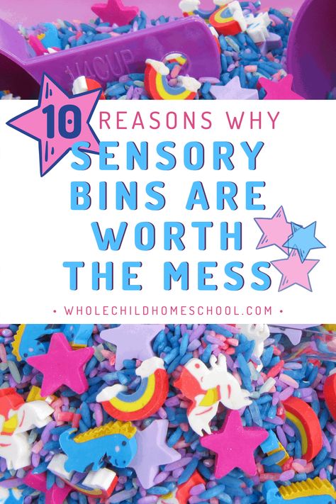 Do you feel like sensory bins are just another mess that you don't have time to clean up? Learn why it's worth the mess and how sensory bins promote your child's development in many ways. #sensorybin #preschool #wholechildhomeschool #homeschool Sensory Integration Disorder, Homeschool Advice, Homeschool Hacks, Sensory Learning, Sensory Boxes, Daycare Ideas, Sensory Integration, Sensory Issues, Homeschool Lesson