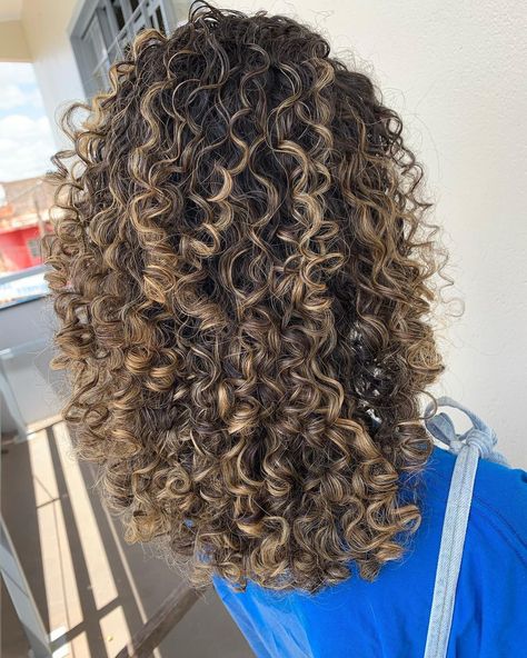 Curly Highlights Light Brown, Bolyoge Hair Balayage Curly, Curly Dark Ginger Hair, Curly Hair 3b/3c Highlights, Gold Brown Curly Hair, Curly Hair Dye Ideas Brown Skin, Curl Hair Balayage, Highlights On Curly Dark Hair, Lowlights Curly Brown Hair