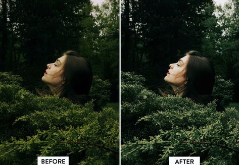 Green Lightroom Presets Lightroom Presets Green, Photography Inspiration Nature, Wonders Of Nature, Romantic Scenes, Photography Games, Garden Photography, Outdoor Photos, Tropical Landscaping, Lightroom Presets Free