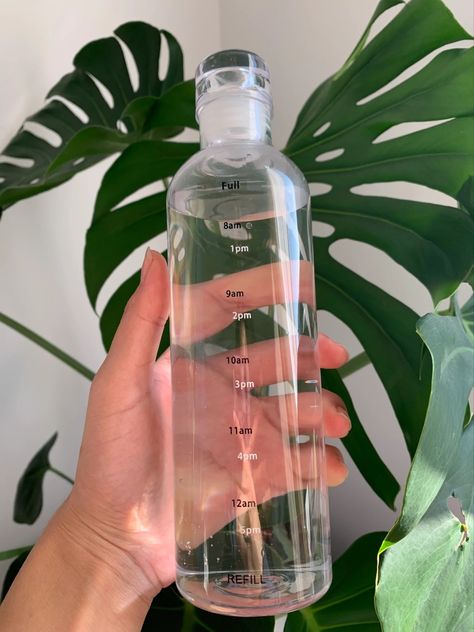 Full Mark, Crockery Design, Clear Water Bottle, Plants In Bottles, Diy Skin Care Routine, Water Aesthetic, Cute Water Bottles, Branding Design Packaging, Healthy Lifestyle Food