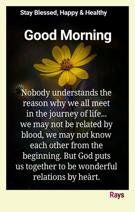 Good Morning Hugs, Nice Good Morning Quotes, Words Quotes Love, Spiritual Partner, Good Morning Messages Friends, Good Morning Hug, Daily Wishes, A Brand New Day, Good Morning Dear Friend