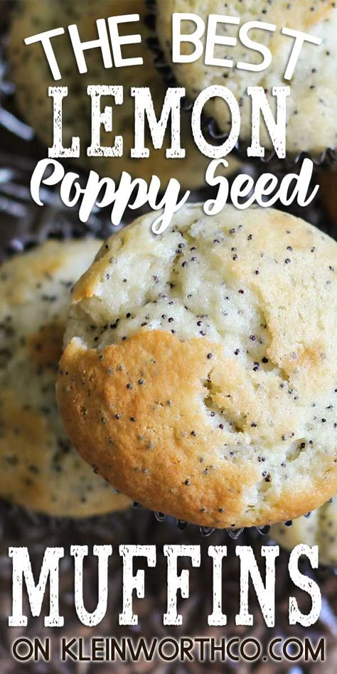 Lemon Poppy Seed Muffins are a quick & easy breakfast recipe for the whole family. Great for weekend mornings with coffee or when rushing off to work. So good! Muffins Lemon, Poppy Seed Muffin Recipe, Lemon Poppy Seed Muffins Recipe, Lemon Poppy Seed Muffins, Quick Easy Breakfast, Breakfast Recipes Easy Quick, Seed Muffins, Muffins Easy, Recipe Categories