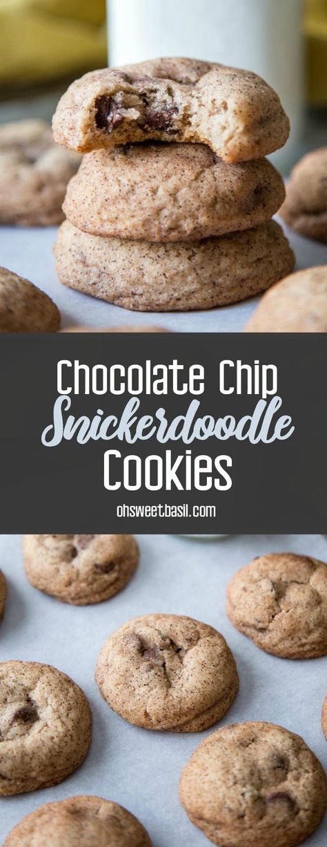 Snickerdoodle Cookies With Chocolate Chips, Chocolate Chip Snickerdoodles, Chocolate Snickerdoodle Cookies, Chocolate Chip Snickerdoodle Cookies, Snickerdoodle Cookie Recipes, Cheesecake Desserts, Snickerdoodles, Chocolate Hazelnut, Best Dessert Recipes