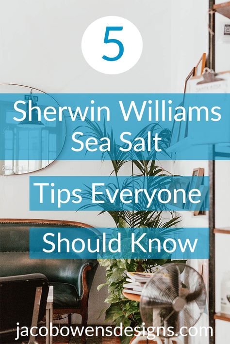 Sherman Williams Sea Salt, Sea Salt Kitchen, Sw Sea Salt, Sea Salt Paint, Sherwin Williams Sea Salt, Sea Salt Sherwin Williams, Calming Interiors, Salt Painting, Salt Room