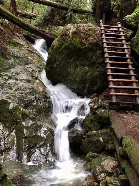 Stinson Beach California, Marin County California, Mount Tamalpais, Stinson Beach, California Hikes, California Coastline, Cali Life, Summer 2025, County House