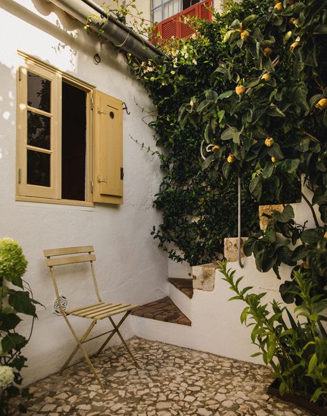 Quince Tree, Lisbon Apartment, European Decor Style, Shutter Colors, Yellow Tile, The World Of Interiors, Stone Fountains, Antique Interior, Casement Windows