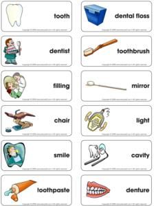 Dental health-Word flash game, not a free printable; many more good, theme-related ideas for all areas (movement, sensory, art, circle time, etc.) Dental Health Unit, Dental Health Week, Dental Health Preschool, Dental Health Activities, Dental Health Month, Dental Implants Cost, Health Words, Health Unit, Sensory Art