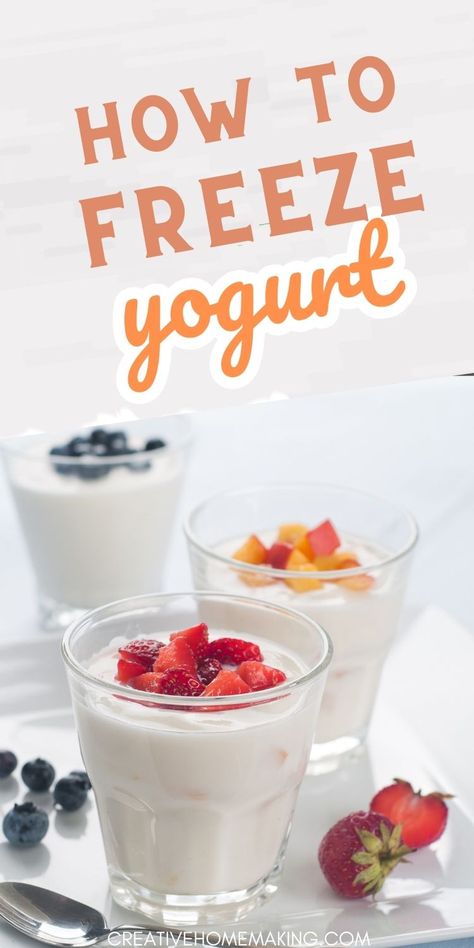 Freeze Yogurt, Freezing Yogurt, Greek Yogurt Recipes Healthy, Yogurt Treats, Easy Frozen Yogurt, Yogurt Recipes Healthy, Whipped Yogurt, Frozen Greek Yogurt, Vanilla Frozen Yogurt