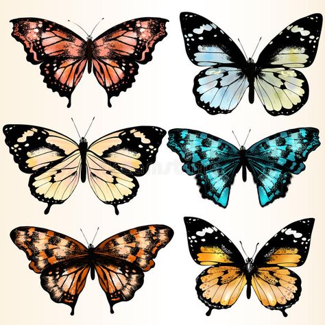 Collection of colorful butterflies for design. Illustration with realistic butte #Sponsored , #Paid, #PAID, #colorful, #realistic, #butte, #butterflies Color Butterfly, Butterfly Illustration, Banner Printing, Facebook Image, Monarch Butterfly, Single Image, Colorful Butterflies, Image Photography, Business Card Design