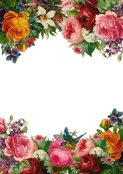 Rosé Png, Vintage Cross Stitch Pattern, Victorian Flowers, Floral Border Design, Rose Frame, Flower Background Wallpaper, Frame Collection, Vintage Cross Stitches, Flower Rose