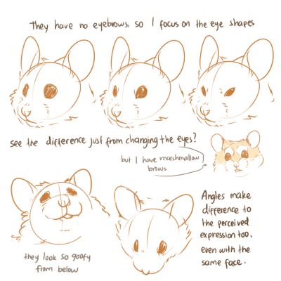 Maus Illustration, Sketchbook Ideas, Poses References, Animal Sketches, Anatomy Art, 영감을 주는 캐릭터, Rodents, Facial Expressions, Digital Art Tutorial