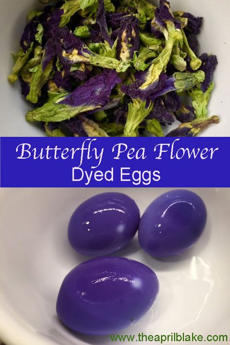 Flower Deviled Eggs, Butterfly Pea Recipe Food, Blue Pea Flower Recipes, Blue Deviled Eggs, Deviled Eggs Easter, Colored Deviled Eggs Recipe, Purple Eggs, Dyed Deviled Eggs, Colored Deviled Eggs