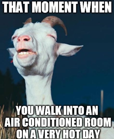 Nothing better on a hot day! #nationalairwarehouse #NAW Air Conditioning Humor, Hvac Humor, Hvac Business, Ac Repair, Dubai Life, Enjoy Your Day, Very Tired, That Moment When, Animal Stories