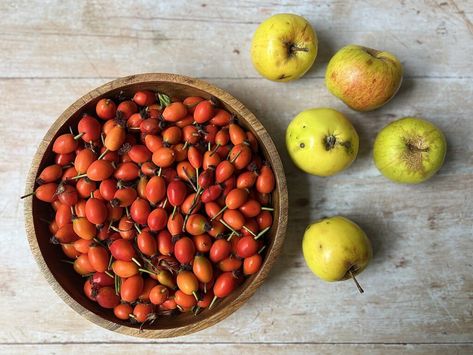 Rose Hip Recipes, Rose Hip Jelly, Apple Rose, Foraged Food, Wild Garlic, Apple Roses, Jelly Bag, Garlic Oil, Family Lifestyle