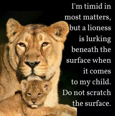 Protection Protective Momma Bear Quotes, Momma Bear Quotes, Mama Bear Quotes, Midnight Quotes, Lioness Quotes, Fierce Quotes, Mom Quotes From Daughter, Leo Quotes, Sisters Quotes