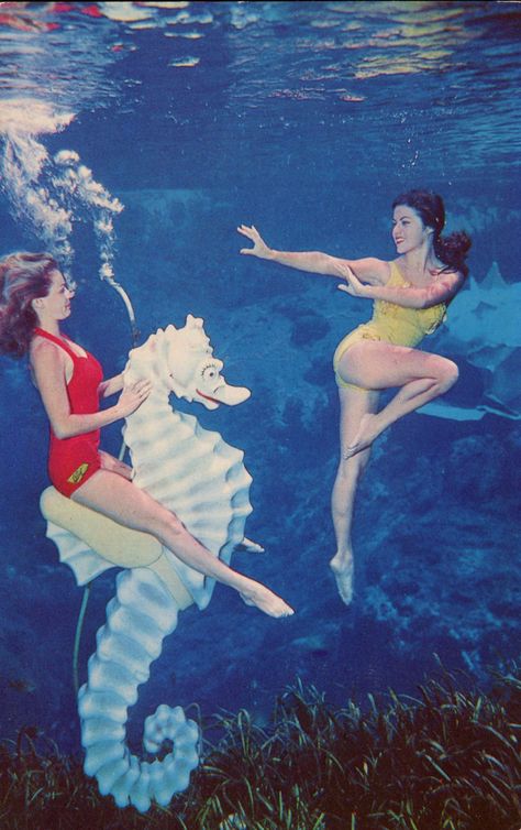 https://flic.kr/p/zAaNCH | Beauties Of The Deep, Weeki Wachee, Florida Weeki Wachee Mermaids, Weeki Wachee Florida, Weeki Wachee, Mermaid Aesthetic, Vintage Mermaid, Mermaids And Mermen, Vintage Florida, Sea Horse, Old Florida