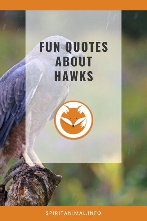 For the hawk lover. Check out these inspirational quotes about hawks. Click through now. #spiritanimals #animaltotems Hawk Quotes Inspirational, Hawk Quotes, Hawk Spirit Animal, Hawk In Flight, Hawk Spirit, Lakota Sioux, Your Spirit Animal, Spirit Animals, School Quotes