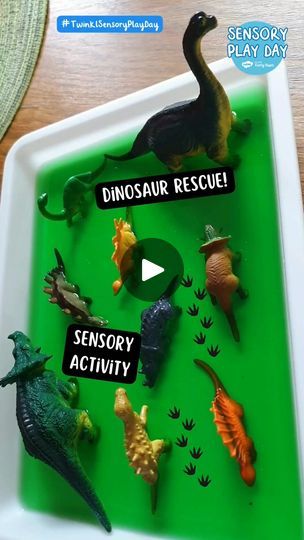 Dinosaur Rescue 💚🦖  Sensory Activity for Early Years Children 👶🏼 | Dinosaur Rescue 💚🦖 Give this simple sensory play activity a go with your babies and toddlers 👶🏼  For more sensory dinosaur ideas see our ‘Dinosaurs... | By Twinkl for Private Early YearsFacebook Dinosaur Activities For Toddlers, Dinosaurs Eyfs, Dinosaur Ideas, Dinosaur Puppet, Dinosaur Activities Preschool, Dinosaur Games, Dinosaur Train, Play Activity, Sensory Activity