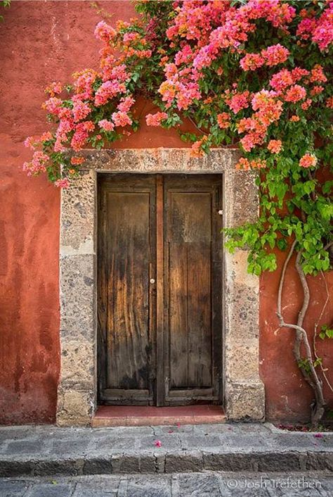 This door was right next to our hotel - love me some bougainvillea! | Flickr - Photo Sharing! Cool Doors, Seni Cat Air, Open Door, Old Door, Old Doors, Unique Doors, Bougainvillea, Beautiful Doors, Home Decor Tips