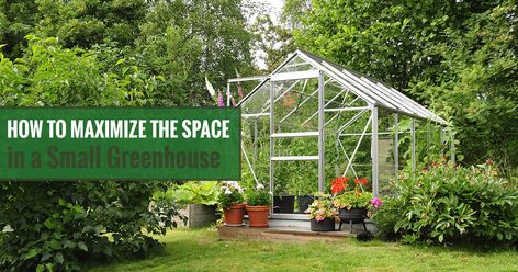 Small Greenhouse Kits, Greenhouse Staging, Transplanting Plants, Victorian Greenhouses, Greenhouse Cover, Lean To Greenhouse, Large Greenhouse, Polycarbonate Greenhouse, Greenhouse Plants