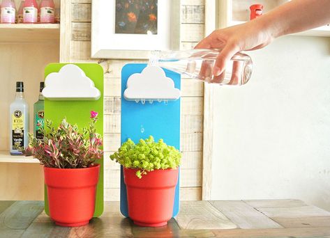 fun-watering-system-rain-pot-jeong-seungbin-9 Wall Plant Pot, نباتات منزلية, Mini Terrarium, Patio Plants, Make It Rain, Terraria, Rain Clouds, Cloud Shapes, Plant Wall