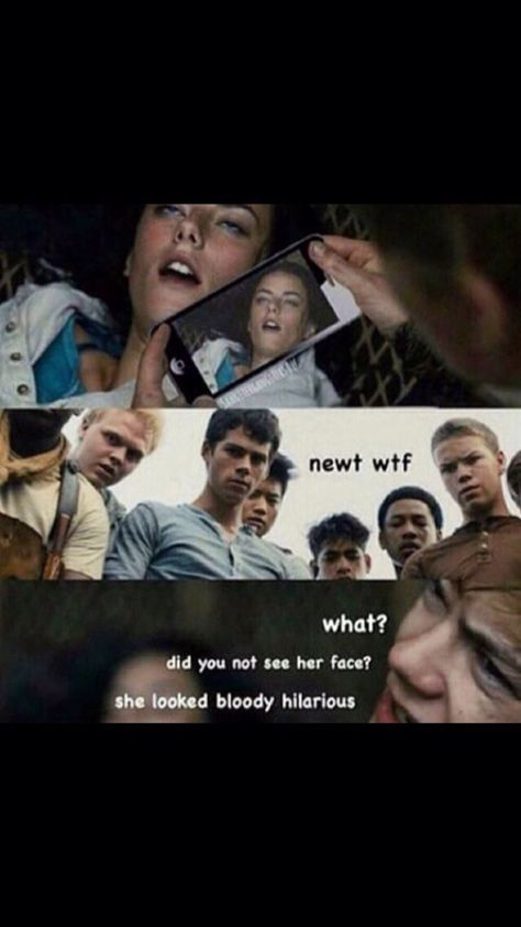 Omg! This is so funny!! our fandom is the best. hahahaha Runner Jokes, Maze Runner Thomas, Maze Runner The Scorch, Maze Runner Trilogy, Maze Runner Funny, Maze Runner Cast, Maze Runner Movie, Newt Maze Runner, The Scorch Trials