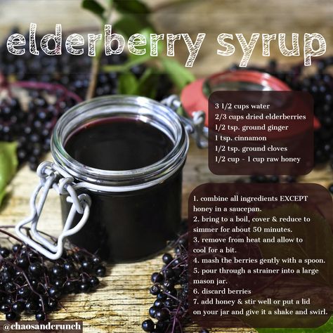 fight off the cold & flu with this easy DIY syrup Elderberry Rosehip Syrup Recipe, Elderberry Syrup Kit Diy Recipe, Instapot Elderberry Syrup Recipe, How To Make Elderberry Syrup From Dried Berries, Diy Syrup, Elderberry Astragalus Syrup, Elderberry Syrup Recipe, Homemade Elderberry, Elderberry Syrup