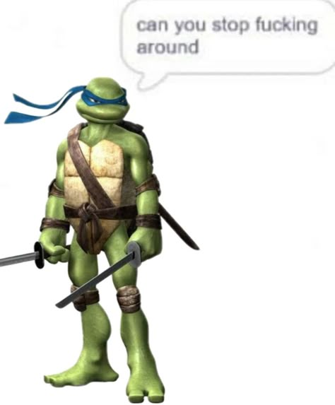 2007 Tmnt Fanart, Tmnt 2007 Leonardo, Tmnt Christmas Pfp, Tmnt 2007 Fanart, 2007 Tmnt, Tmnt Aesthetic, Leo Tmnt, Tmnt Movie, Tmnt Leo