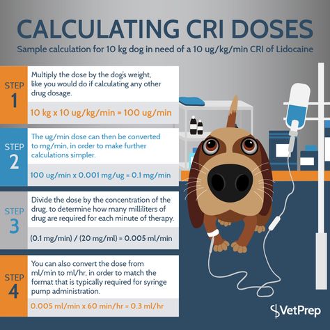 Constant Rate Infusions in Small Animal Veterinary Medicine Vet Tech Medical Math, Vtne Prep Veterinary Technician, Vet Tech Notes Veterinary Medicine, Horse Vet Notes, Fluid Therapy Veterinary, Common Veterinary Medications, Veterinary Fluid Rates, Veterinary Emergency And Critical Care, Veterinary Humor