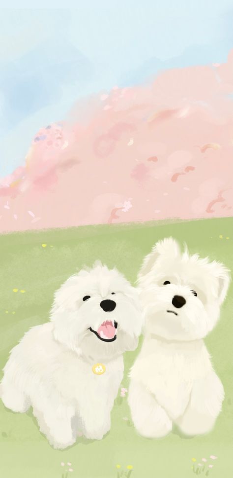 Westie Wallpaper, White Yorkie, Cinnamoroll Wallpaper, Cute Dog Drawing, Anime Eye Makeup, Sweet Drawings, Iphone Wallpaper Kawaii, Very Cute Dogs, 1% Wallpaper