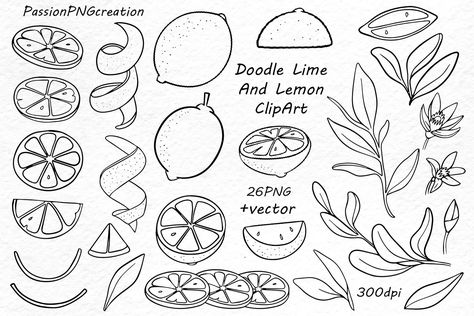 Citrus Drawing Simple, How To Draw Lemons, Lemon Doodle Drawing, Lime Drawings Simple, How To Draw A Lemon, Lime Sketch, Citrus Doodle, Lemon Drawing Simple, Citrus Drawing