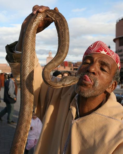 Morocco Tourism, Morocco Hotel, Morocco Fashion, Moroccan Nights, Moroccan Aesthetic, Moroccan Inspiration, Snake Charmer, Visit Morocco, Location Inspiration