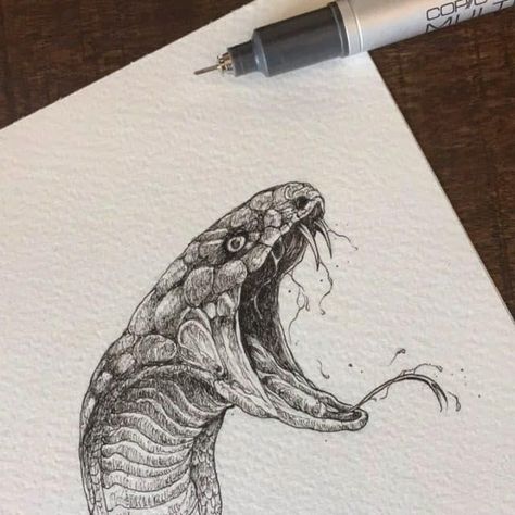 Brainstorming Board, Realistic Animal Drawings, Snake Drawing, Kerby Rosanes, Family Blanket, Animal Illustration Art, Snake Art, Ink Artwork, Desenho Tattoo