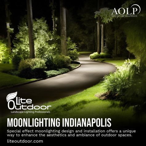 Impress your neighbors and illuminate your pathways with Lite Outdoor Moonlighting design. liteoutdoor.com/special-effect-moonlighting-indianapolis #OutdoorLiving #LiteOutdoor #landscapelighting #gardenlighting #outdoorlights Outdoor Landscape Lighting, Outdoor Landscape, Outdoor Landscaping, Landscape Lighting, Garden Lighting, Outdoor Living, Lighting, Design