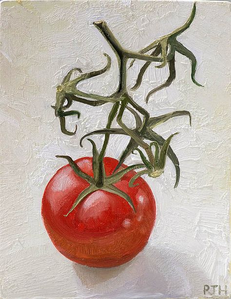 Tomato On The Vine, Tomato Plant Painting, Tomato Vine Drawing, Tomato Drawings, Tomatoes On The Vine, Tomato Plant Drawing, Tomato Sketch, Tomato Vine Tattoo, Tomato Painting